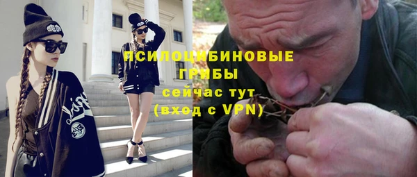 ГАЛЛЮЦИНОГЕННЫЕ ГРИБЫ Балахна
