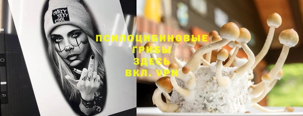 гидра Нягань