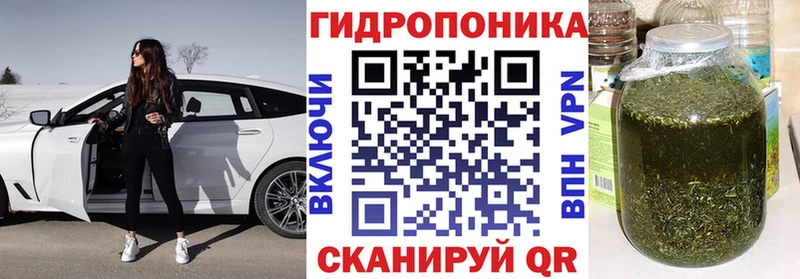 Бошки Шишки гибрид Томмот